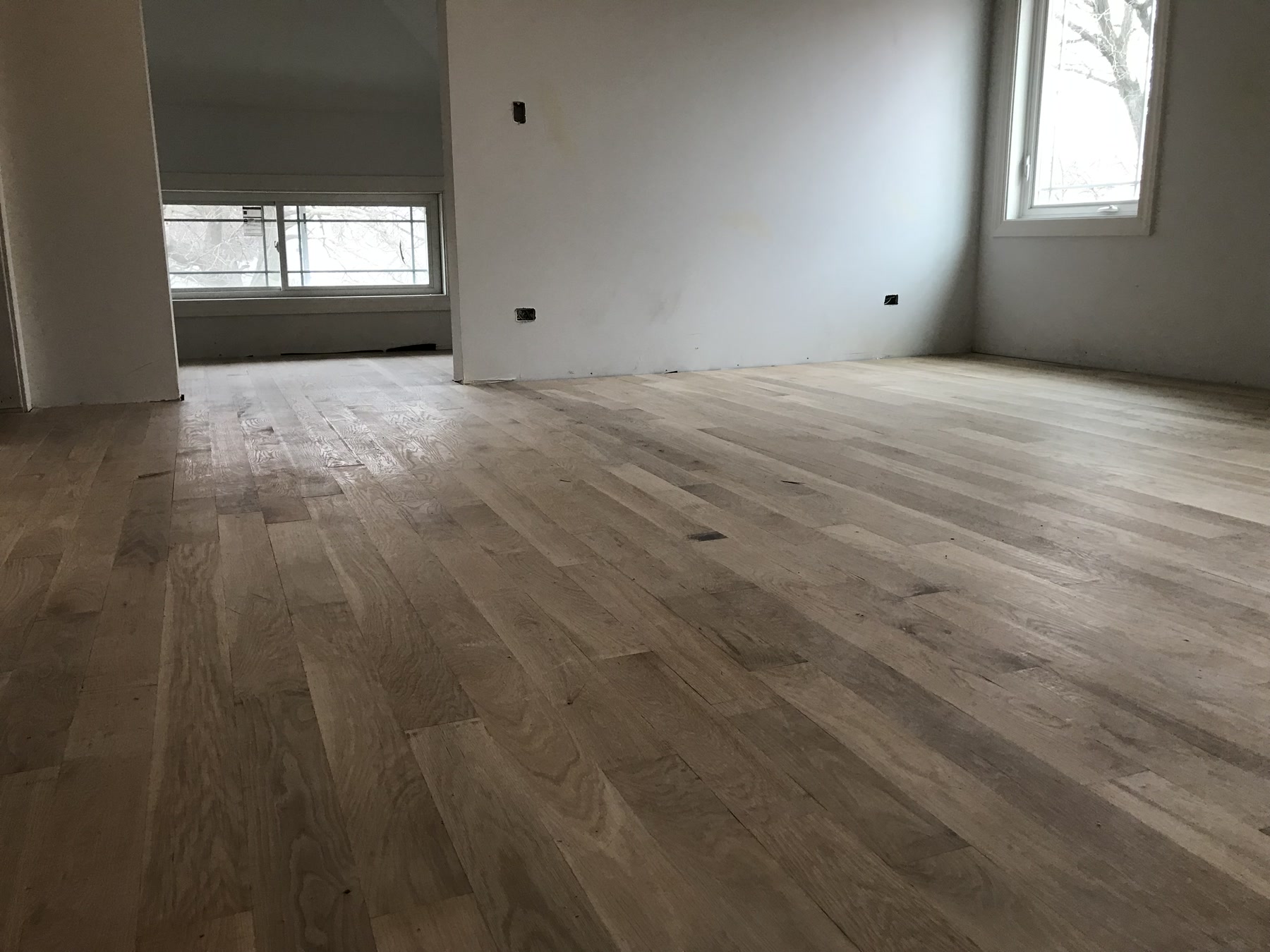 Newly installed natural white oak floor before Driftwood staining, Berwyn, IL