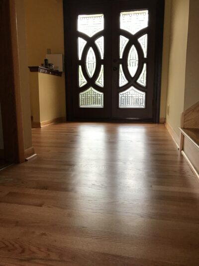 Natural hardwood floor at the entry with glass doors, Darien, IL