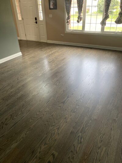 Classic Gray floor by the entry, Naperville, IL