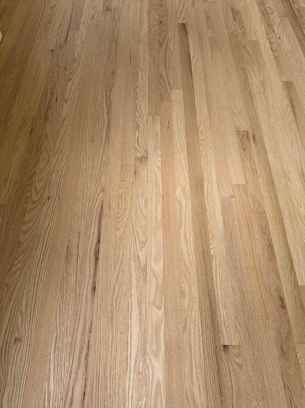 Stained hardwood floor in an Orland Park room
