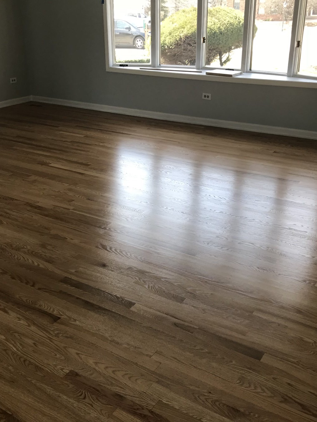 Golden oak stained hardwood floor in a Western Springs living room