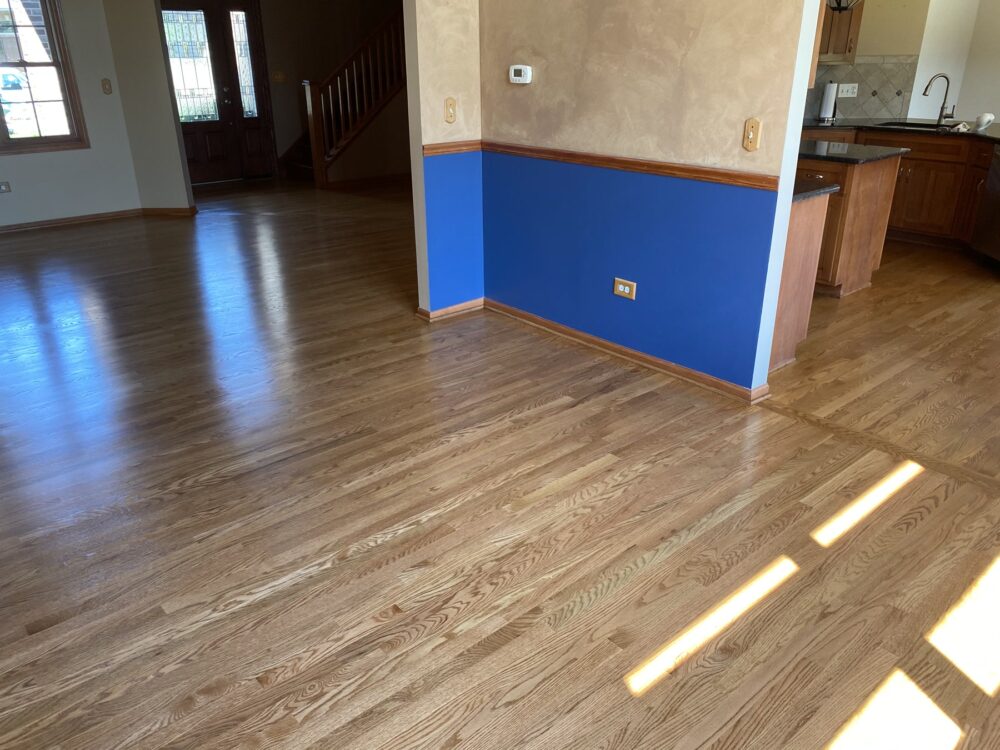 Golden Oak floor in a room with a blue accent wall, Winnetka, IL