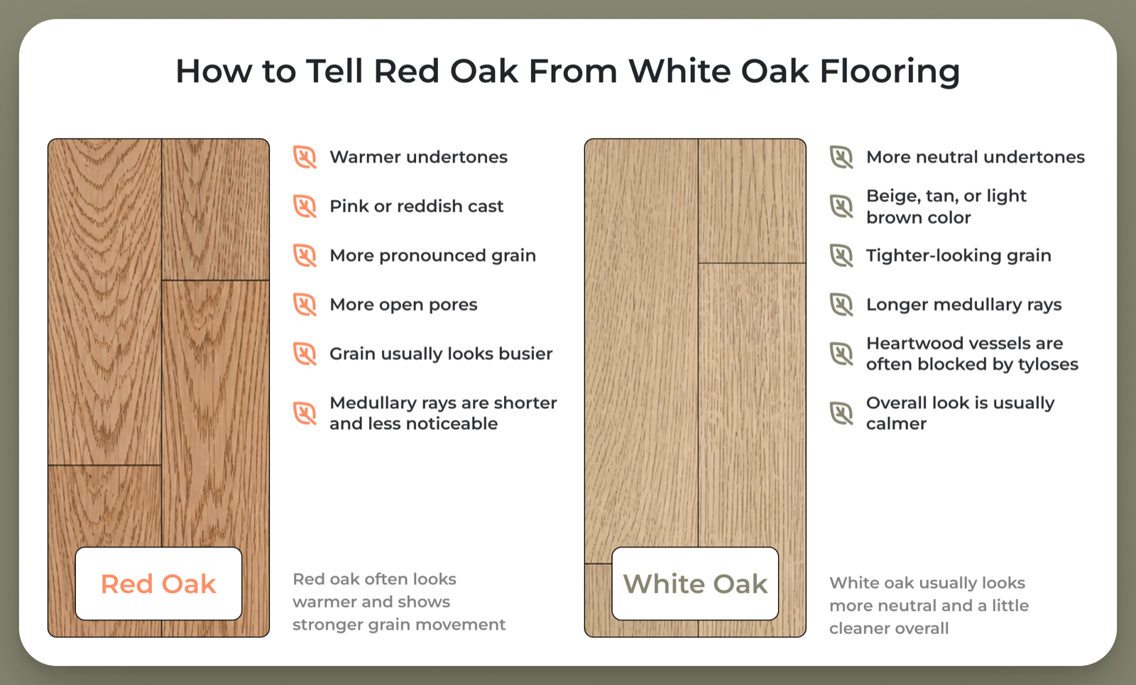Red oak vs white oak flooring identification showing differences in color, grain, medullary rays, pores, and tyloses.