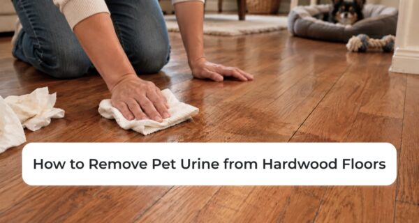 How to Get Pet Urine Smell and Stains Out of Hardwood