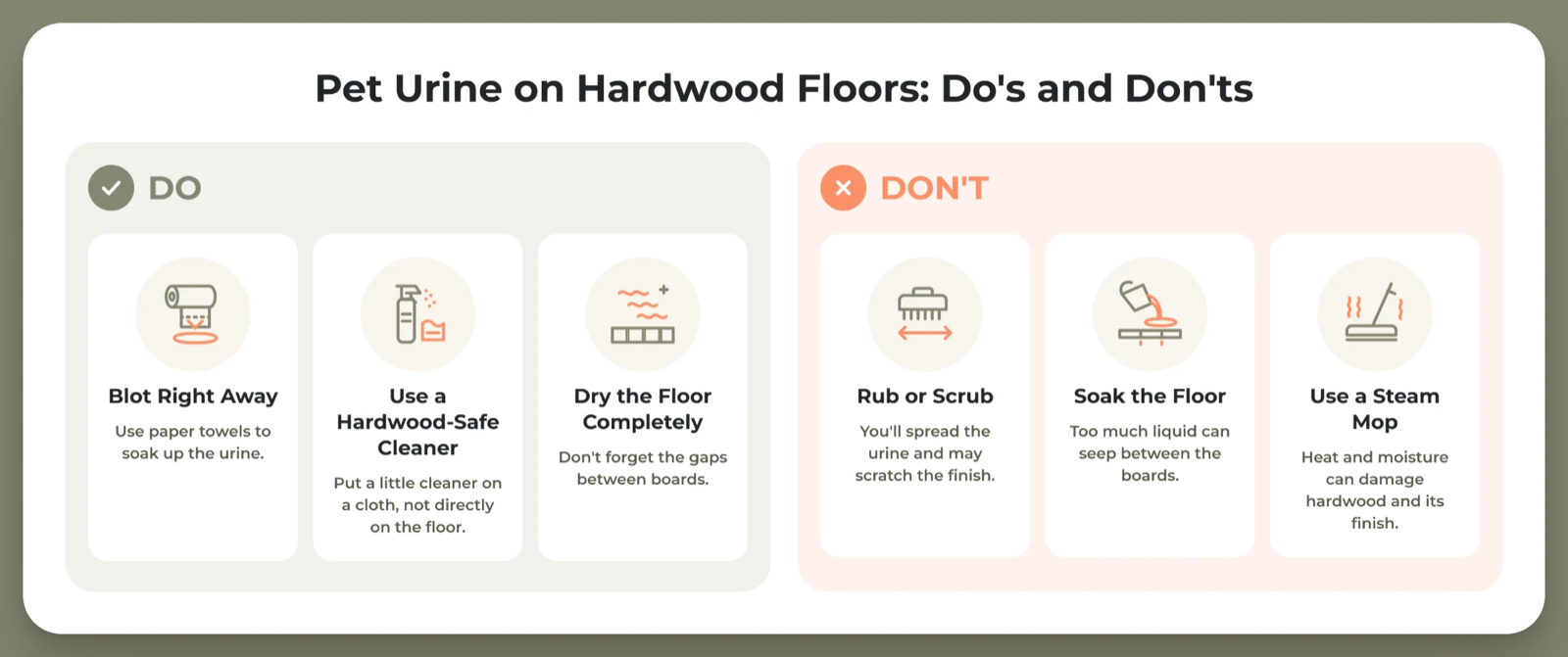What to do and not do when cleaning fresh pet urine from hardwood floors, including blotting with paper towels, using a hardwood-safe cleaner, drying the floor completely, and avoiding scrubbing, soaking, or steam cleaning.