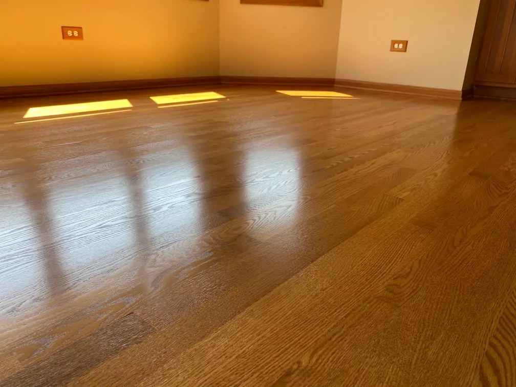A beautifully refinished hardwood floor reflecting natural sunlight.