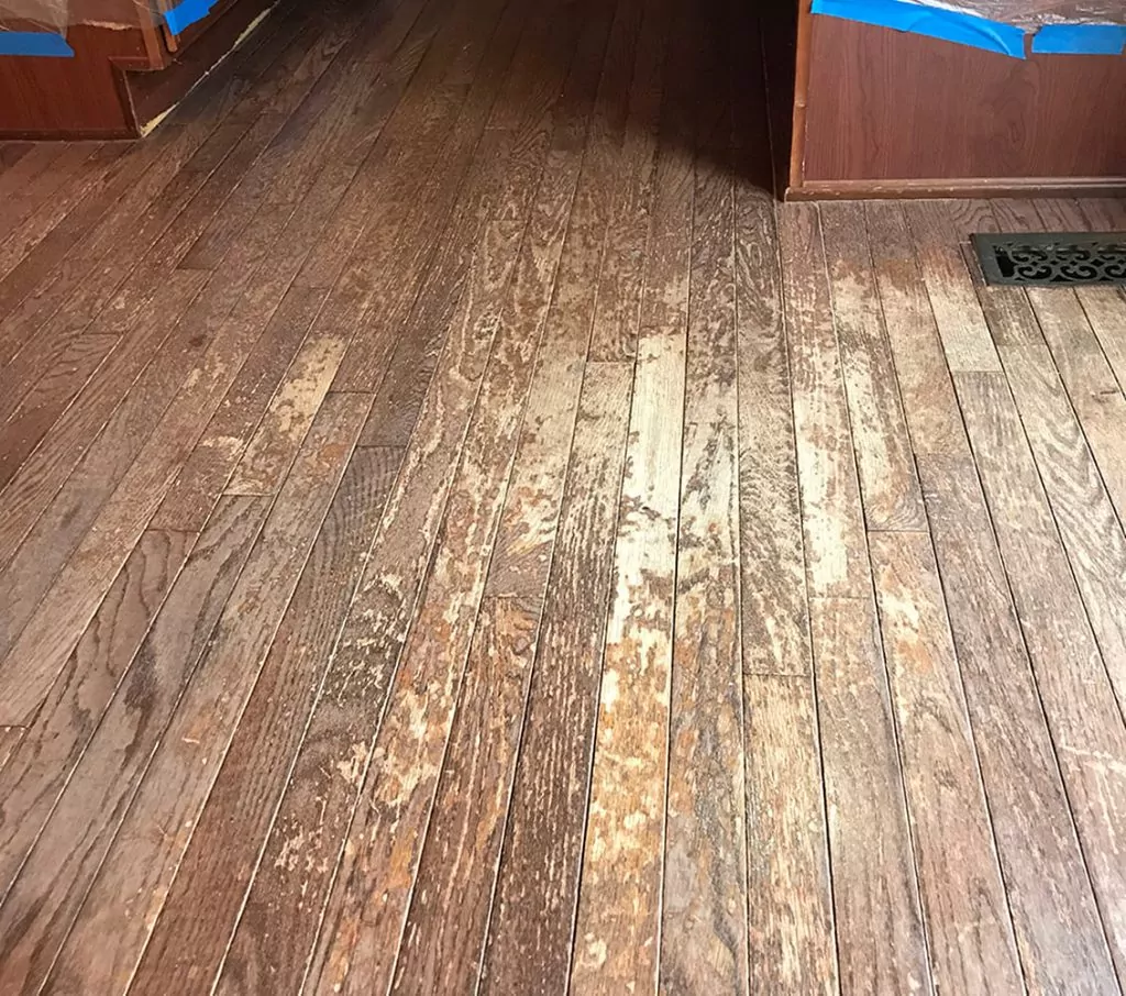 Heavily worn hardwood floors
