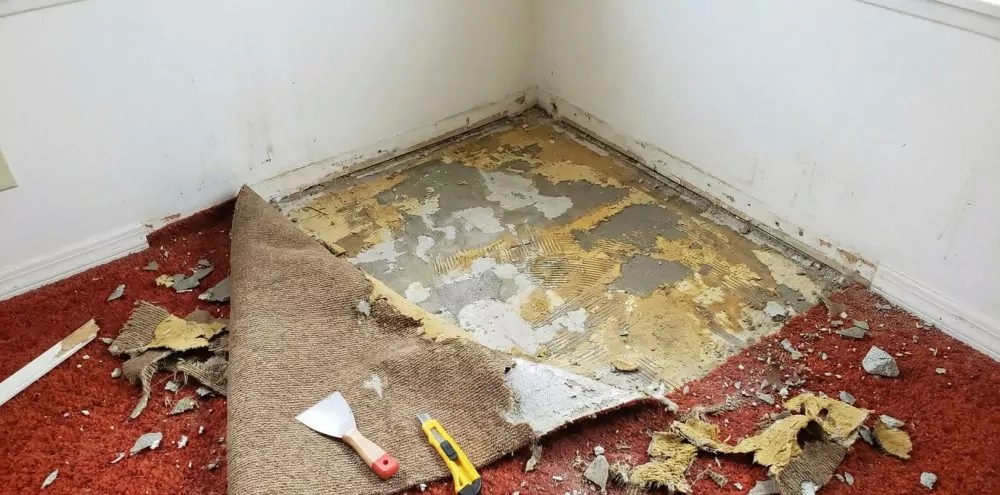 Partially removed carpet showing glue residue on the subfloor, explains why glue-down carpet removal costs more