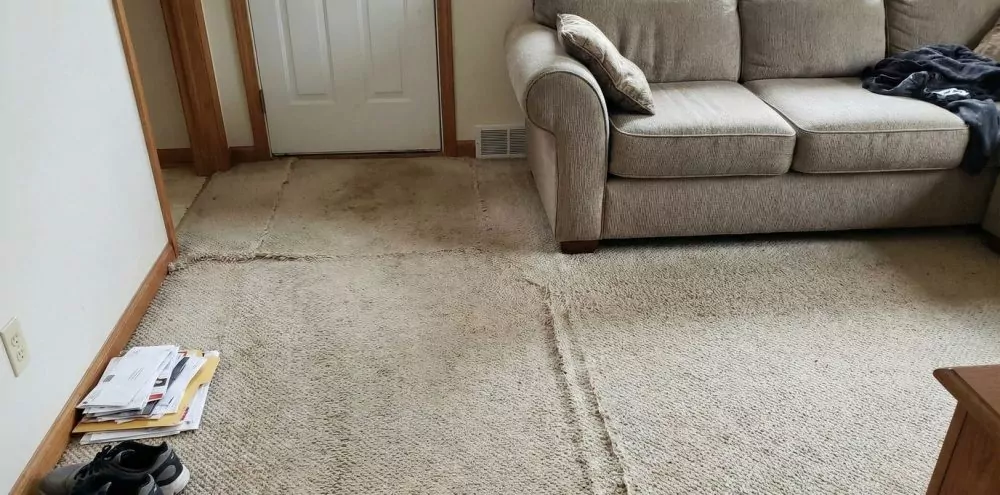 Worn wrinkled carpet with visible seams in a living room, shows a common reason homeowners replace old carpet