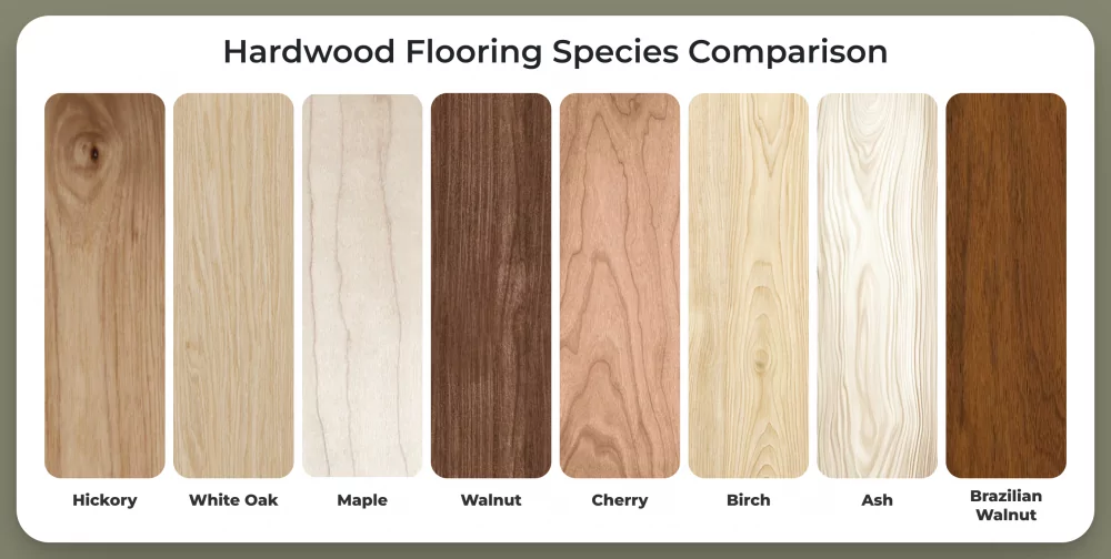 Hardwood flooring species comparison chart showing hickory, white oak, maple, walnut, cherry, birch, ash, and Brazilian walnut wood samples